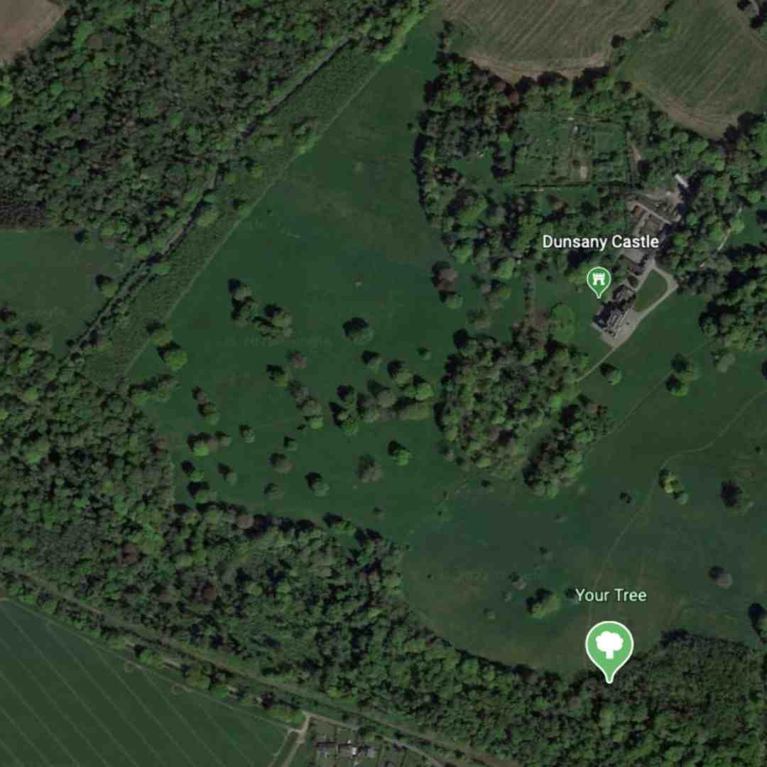 Rewilding with Dunsany Reserve and IrishTrees.ie