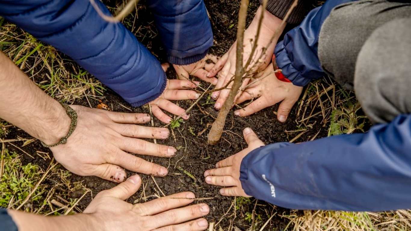 Plant a tree – a simple gift to Nature
