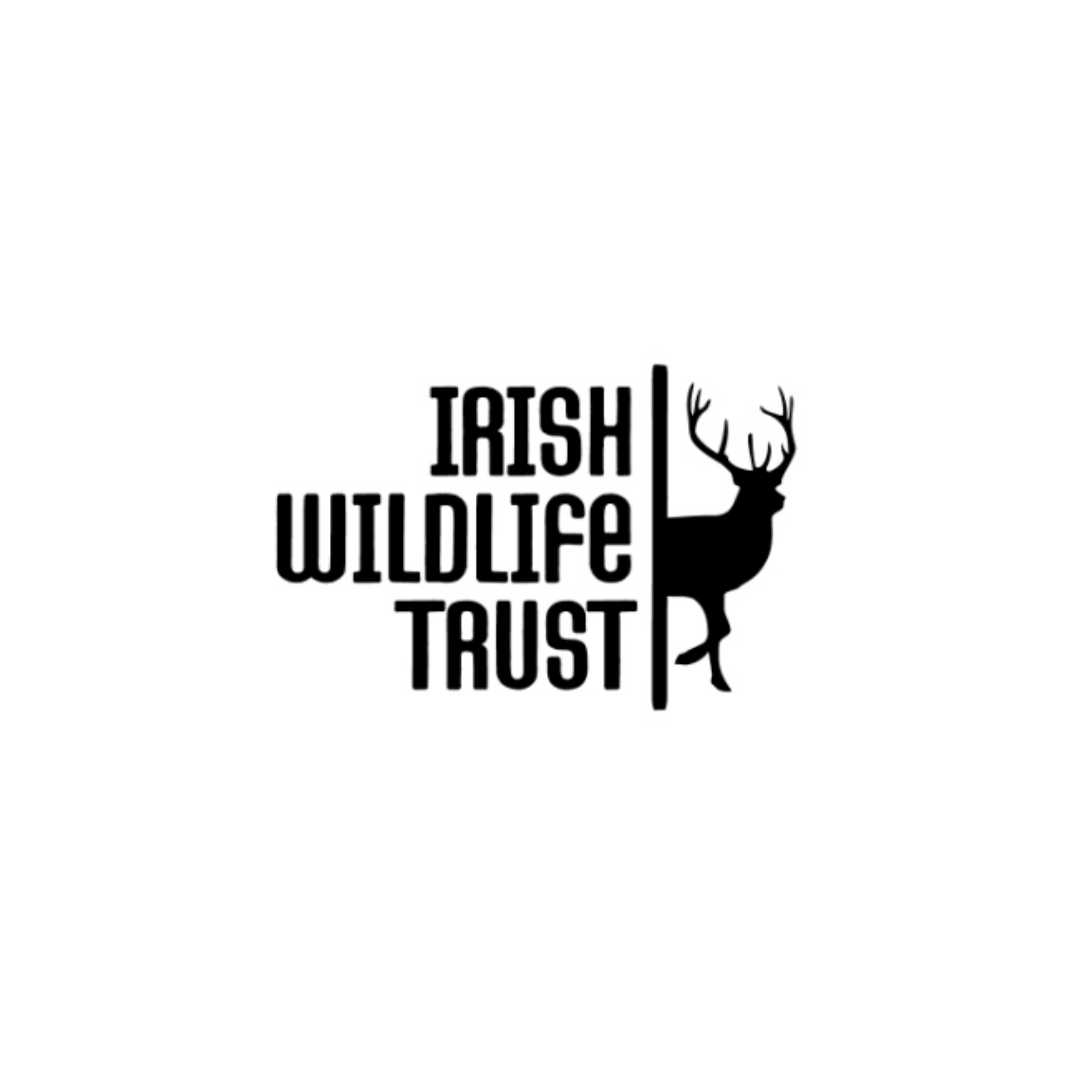 %Irish Trees Planting Dunsany Rewilding Project memorial trees %