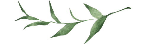 Irish Trees Planting Naul Dublin