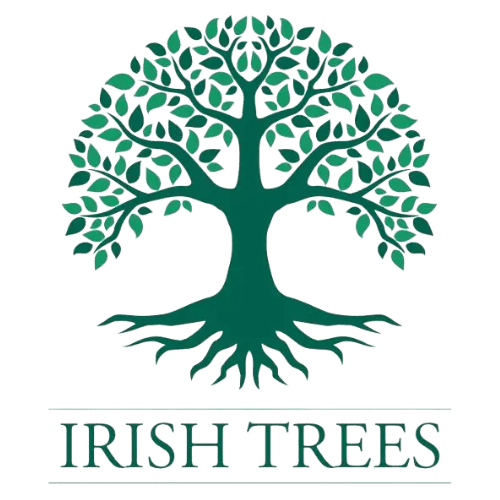 Irish Trees Planting forests