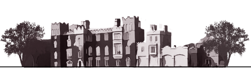 Dunsany Rewilding Project Co Meath irish tree planting