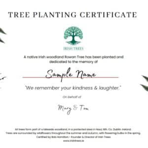 Irish Memorial Trees Ireland Ash scattering