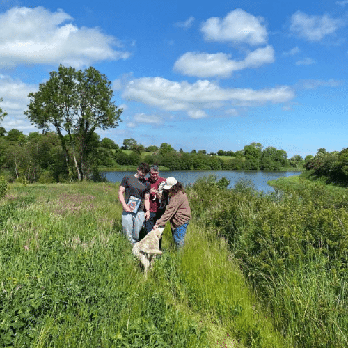 Irish Trees Planting Naul Dublin