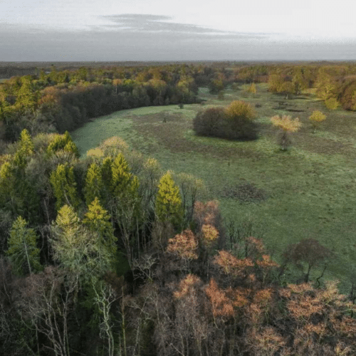 Dunsany Nature Reserve and Irish Trees Partnership