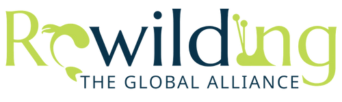 Global Rewilding Alliance Logo Global Rewilding Alliance Logo