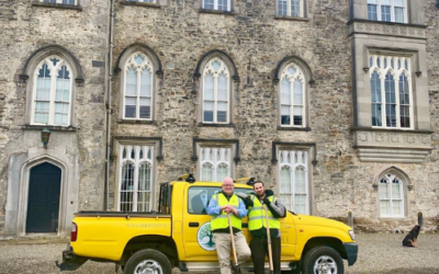 What Makes the Dunsany Estate Ireland’s Most Meaningful Rewilding Project