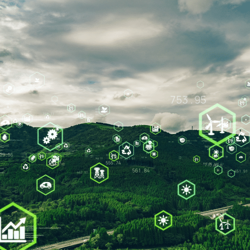 Irish Trees Sustainability Goals