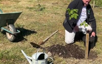 Our Trees & Planting Tips