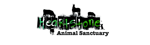 Heartstone Heartstone Animal Sanctuary logo with animal profiles on logo