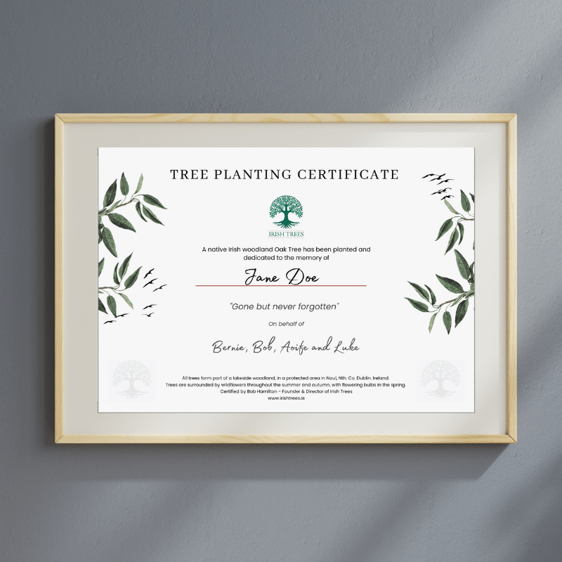celebration tree memorial tree planting certificate