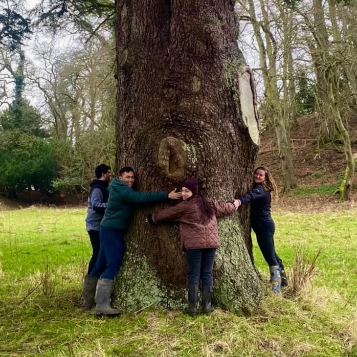 a group of visitors to dunsany rewilding project joining to embrace an ancient tree trunk